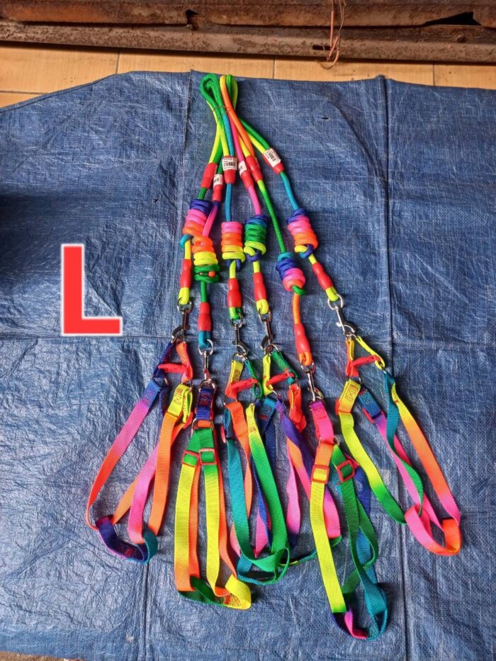 พบคำแนะนำในการเลือกกรงนกที่สมบูรณ์แบบ 9 Harness Rainbow Size L - สายรัดอกสายรุ้งขนาดใหญ่ (403656)
