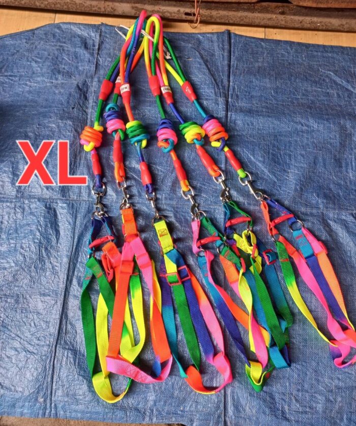พบคำแนะนำในการเลือกกรงนกที่สมบูรณ์แบบ 8 SOOS Harness Rainbow Size XL - สายรัดอกสายรุ้งขนาดใหญ่พิเศษ (403661)