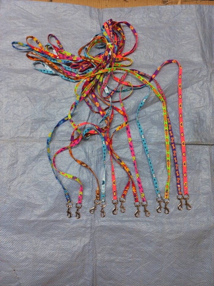 พบคำแนะนำในการเลือกกรงนกที่สมบูรณ์แบบ 7 Cartoon Leash Small Size - สายจูงเล็กลายการ์ตูน 10mm (403693)