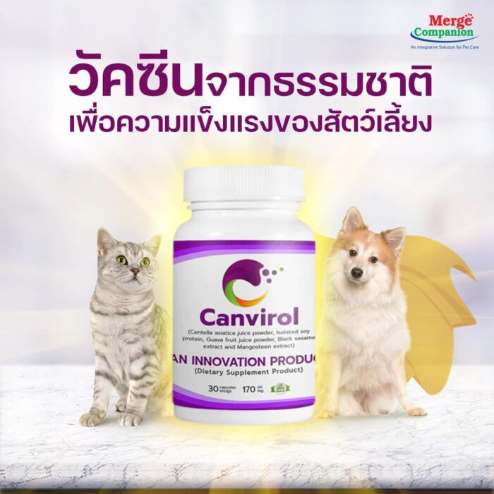 Canvirol Pet Natural Immunuty 170mg Canvirol Pet Natural Immunuty 170mg - อาหารเสริมต้านทานการติดเชื้อไวรัสและมะเร็งสำหรับสุนัขและแมว ขนาด 170มก. 30 เม็ด (409497)