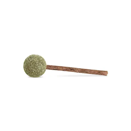 พบคำแนะนำในการเลือกกรงนกที่สมบูรณ์แบบ 9 Catnip Lollipop