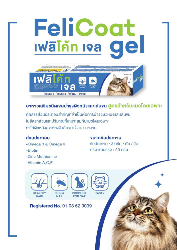 FeliCoat_Guide FeliCoat Gel - อาหารเสริมวิตามินชนิดเจลบำรุงเส้นขนและผิวหนัง 50g (402830)