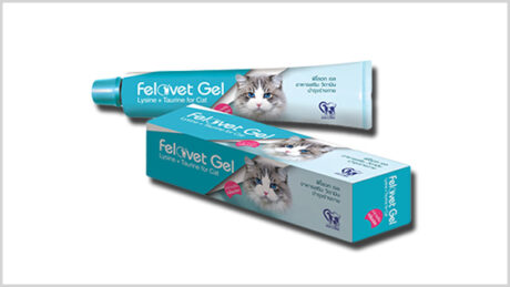 พบคำแนะนำในการเลือกกรงนกที่สมบูรณ์แบบ 9 TBD Felovet Gel Lysine + Taurine For Cat - อาหารเสริม เจลวิตามินบำรุงร่างกายสำหรับแมว 50g (410169)