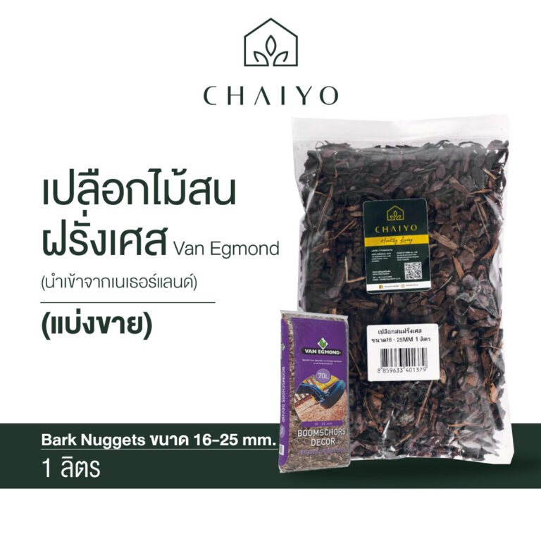 chaiyo 2