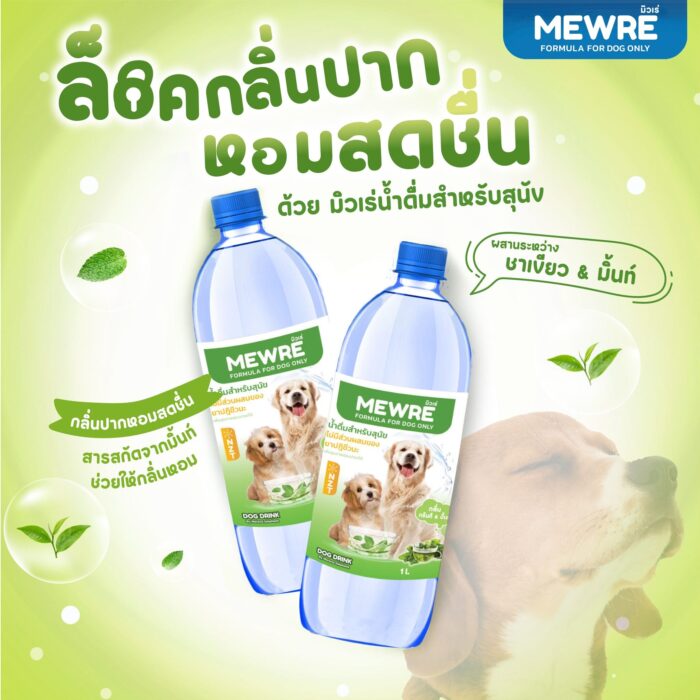 PRO MEWRE FORMULA CAT DRINK - น้ำดื่มสำหรับสุนัข กลิ่นกรีนทีมินท์ 1L (423503)