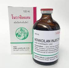 Novacilan Injection - โนวาซิลแลน ยาฉีดลดการอักเสบ แก้ปวด ลดไข้ สำหรับสัตว์เลี้ยง 100ml
