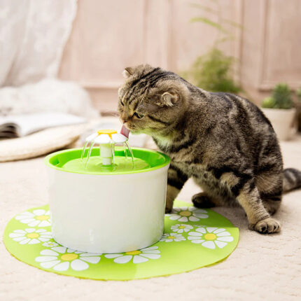 Boqi Factory Pet Drinking Fountain 1.6l
