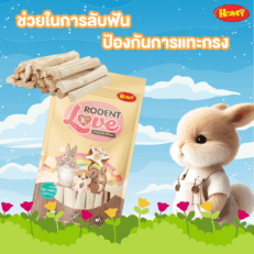 Honey Petz Roden Love - ขนมลับฟันสำหรับสัตว์เล็ก ไผ่หวานลับฟัน