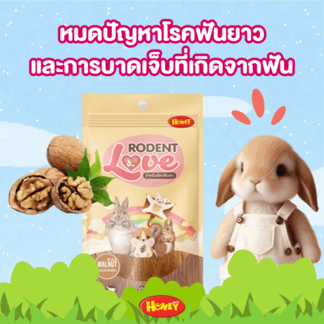Honey Petz Roden Love - ขนมลับฟันสำหรับสัตว์เล็ก วอลนัท