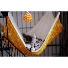 Patcharin Sugar Glider Cradle House - บ้านเปลชูการ์ไกลเดอร์ 12นิ้ว(424137)