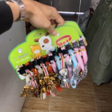 V Guide Pet Collars - ปลอกคอนิรภัยสำหรับสัตว์เลี้ยง ติดโบว์ คละแบบ ยาว19-32cm (418351)