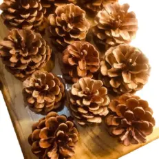 Pine Cones - ลูกสน 500g (แพค)(420426)