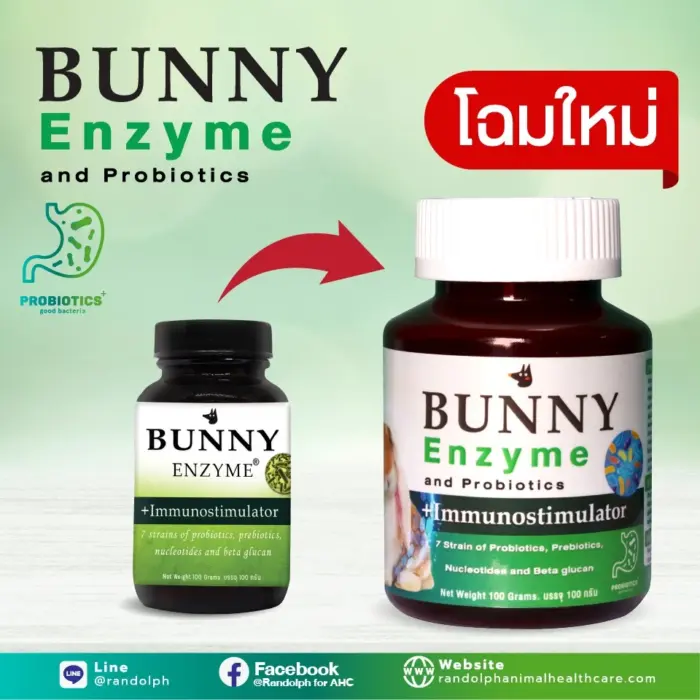 sg-11134201-22110-5johkwwuwzjv0f Randolph Bunny Enzyme -อาหารเสริมพลังงานฟื้นฟูสำหรับสัตว์กินพืชป่วย 100g