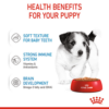 sol-hero-image-wet-mini-puppy-pouch-cig-b1-cv3 Royal Canin Mini Puppy Pocuh - อาหารลูกสุนัขเปียก 2-10เดือน 85g (413948)
