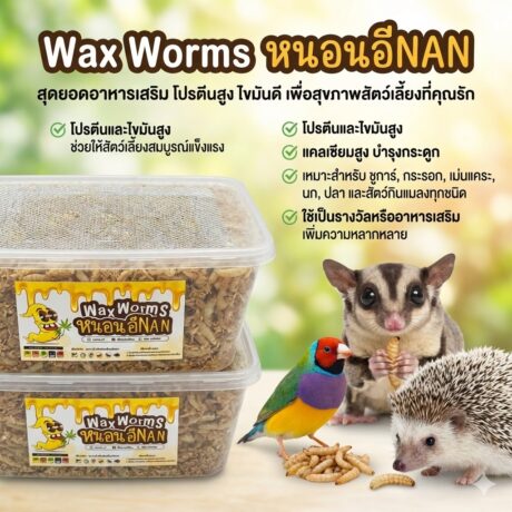 พบคำแนะนำในการเลือกกรงนกที่สมบูรณ์แบบ 10 E-Nan Wax Worms - หนอนน้ำผึ้ง หนอนแว๊กซ์ 1000 ซีซี (415106)