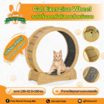 427038 Cat Exercise Wheel - วงล้อวิ่งออกกำลังกายสำหรับแมว L (120x32.5x130cm) (427038)
