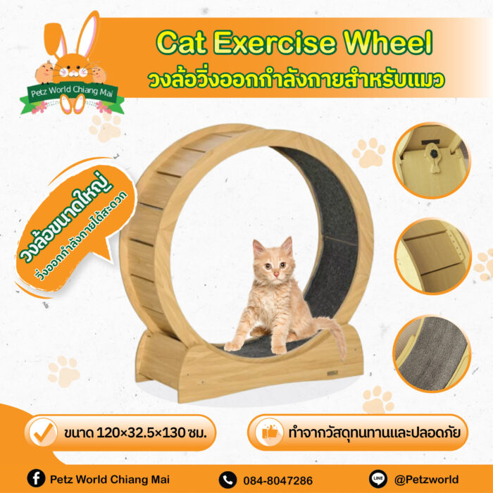 427038 Cat Exercise Wheel - วงล้อวิ่งออกกำลังกายสำหรับแมว L (120x32.5x130cm) (427038)