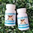 Sugar Pro Protein