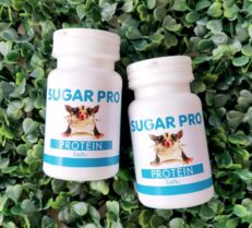 Sugar Pro Protein