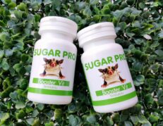 Sugar Pro Booster Vit - อาหารเสริมวิตามิน ชูการ์ไกลเดอร์ (432671)