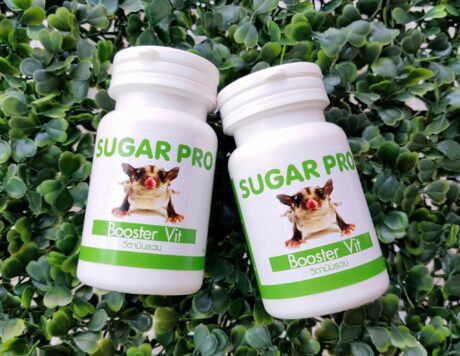 Sugar Pro Booster Vit - อาหารเสริมวิตามิน ชูการ์ไกลเดอร์ (432671)