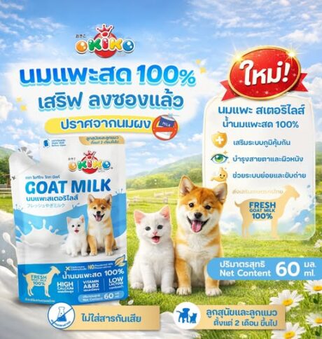 พบคำแนะนำในการเลือกกรงนกที่สมบูรณ์แบบ 9 Okiko Goat Milk - นมแพะสเตอริไลส์ 60ml (436431)
