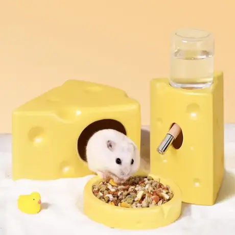 Hamsters Cheese Shape