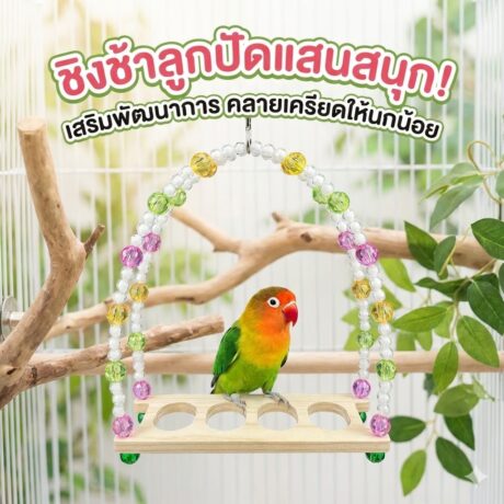 พบคำแนะนำในการเลือกกรงนกที่สมบูรณ์แบบ 7 Bird swing with wooden perch and bead decorations - ชิงช้านกคอนไม้ประดับลูกปัด (12397)
