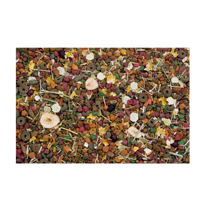 203d4eaad5b244959112dd70bfcce313 Versele-Laga Nature Original Chinchilla - อาหารชินชิล่า 750g (446798)