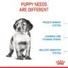 3182550402439_03 Royal Canin Medium Puppy - อาหารเม็ด สำหรับลูกสุนัขพันธุ์กลาง อายุ 2 ถึง 12 เดือน 1kg (442715)