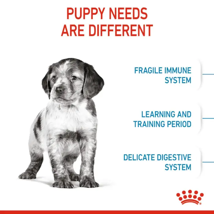 3182550402439_03 Royal Canin Medium Puppy - อาหารเม็ด สำหรับลูกสุนัขพันธุ์กลาง อายุ 2 ถึง 12 เดือน 1kg (442715)