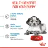 3182550402439_04 Royal Canin Medium Puppy - อาหารเม็ด สำหรับลูกสุนัขพันธุ์กลาง อายุ 2 ถึง 12 เดือน 1kg (442715)