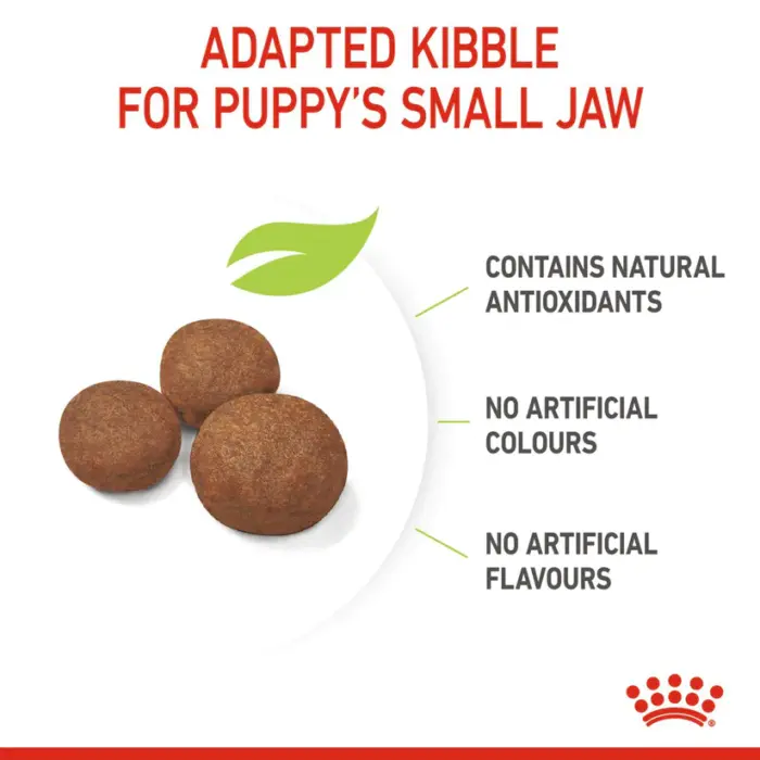 3182550402439_07 Royal Canin Medium Puppy - อาหารเม็ด สำหรับลูกสุนัขพันธุ์กลาง อายุ 2 ถึง 12 เดือน 1kg (442715)