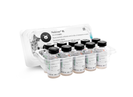 TBD Novibac RL Vaccines - วัคซีนป้องกันโรคพิษสุนัขบ้าและโรคฉี่หนูสำหรับสุนัข (1dose) (440696)