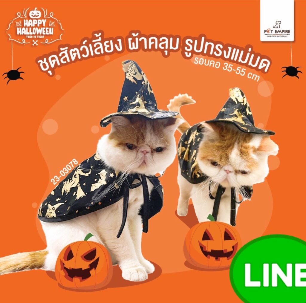 Pet Empire Halloween Witch Costume - ชุดสัตว์เลี้ยง มีผ้าคลุมและหมวก รูปทรงแม่มด (ขนาดรอบคอ 35-55cm) (446371)