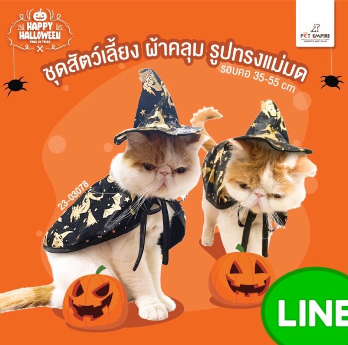 TBD Pet Empire Halloween Witch Costume - ชุดสัตว์เลี้ยง มีผ้าคลุมและหมวก รูปทรงแม่มด (ขนาดรอบคอ 35-55cm) (446371)