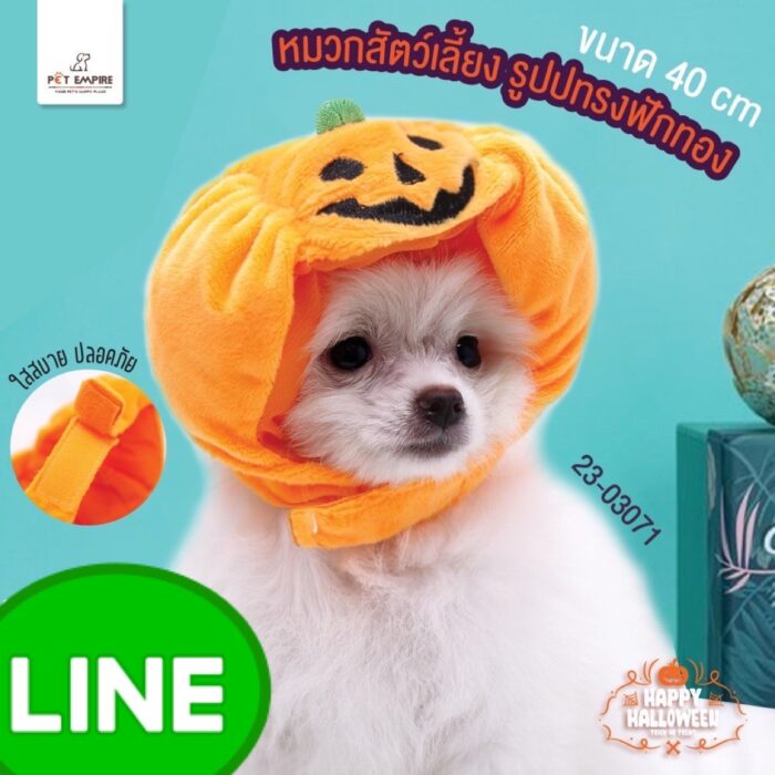 Pet Empire Halloween Pumpkin Hat - หมวกสัตว์เลี้ยง รูปทรงฟักทอง (ขนาด 40cm) (446397)