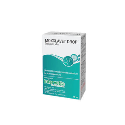 Moxclavet Drop Amoxicilin 15ml - ยาปฏิชีวนะสำหรับรักษาโรคติดเชื้อแบคทีเรียที่ผิวหนังและเนื้อเยื่ออ่อน แบบหยด 15มล. (1กล่อง) (447802)