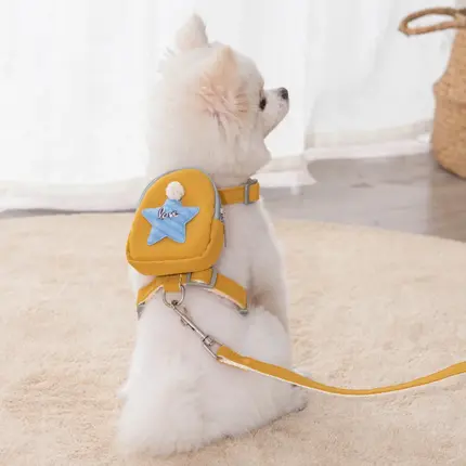 PET_HARNESS_&_LEASH_SET_2 pet harness & leash set s