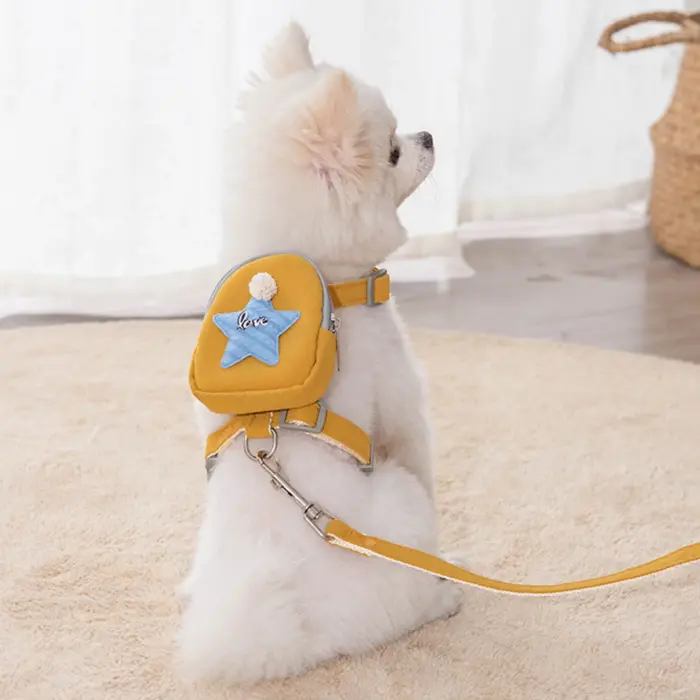 pet harness & leash set s