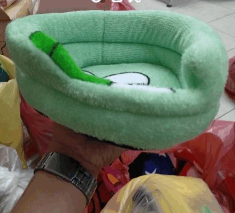 Sugar Glider Mattress No4 - เบาะชูการ์ไกลเดอร์ คละสี