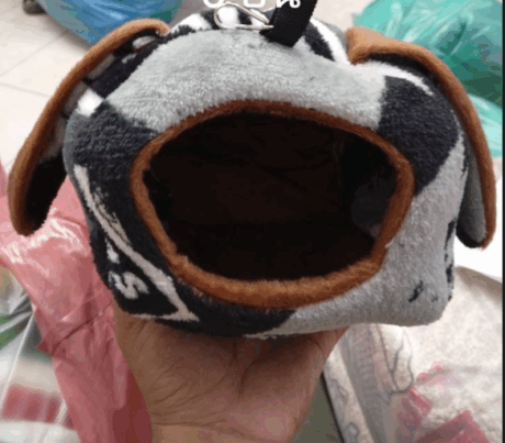 พบคำแนะนำในการเลือกกรงนกที่สมบูรณ์แบบ 9 Sugar Glider House No4 - บ้านชูการ์ไกลเดอร์ ทรงหูกระต่าย