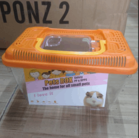 Plastic Box CH-PONZ2 - กล่องพลาสติกเลี้ยงหนอน ผีเสื้อ แมลง สัตว์เลื้อยคลาน (21.5x13.5x14cm)