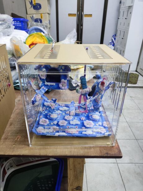 Clear Acrylic Box - กล่องอะคริลิคใส พร้อมเซ็ตบ้านชูการ์ไกลเดอร์ (30x30x30cm)