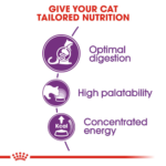 Royal Canin Sensible – อาหารเม็ด สำหรับแมวโตอายุ 1 ปีขึ้นไป ช่วยดูแลสุขภาพทางเดินอาหาร 400g (442678)