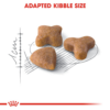 fhn-sensible33-cv-eretailkit-3 Royal Canin Sensible - อาหารเม็ด สำหรับแมวโตอายุ 1 ปีขึ้นไป ช่วยดูแลสุขภาพทางเดินอาหาร 400g (442678)