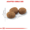 Royal Canin Sterilised - อาหารเม็ด สำหรับแมวโตทำหมันอายุ 1 ปีขึ้นไป 400g (442692)