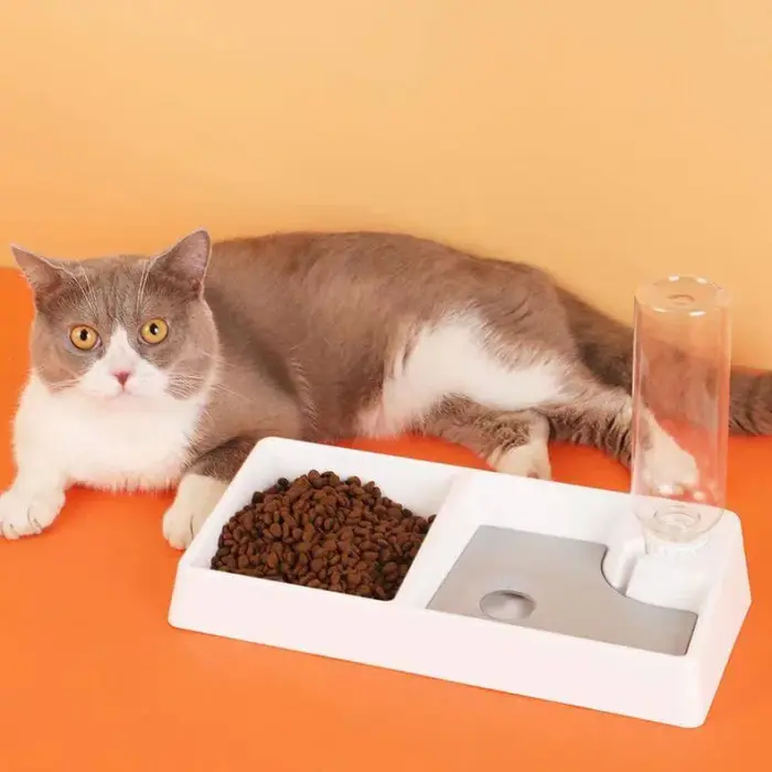 new_pet_bowl Automatic Pet Feeder - ชามใส่อาหาพร้อมขวดน้ำอัตโนมัติ แบบสี่เหลี่ยม (447808)
