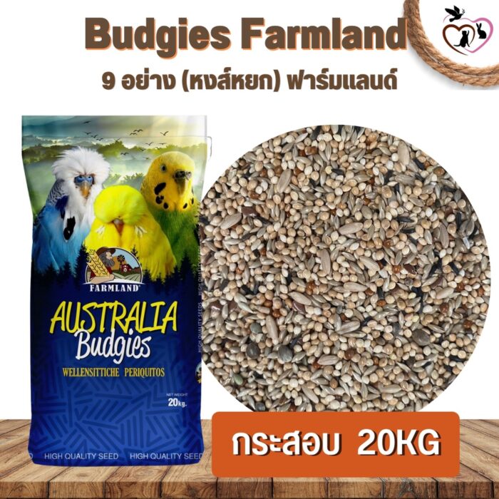 พบคำแนะนำในการเลือกกรงนกที่สมบูรณ์แบบ 10 SOOS Farmland Australia Budgies - อาหารนกหงส์หยก เลิฟเบิร์ด ฟอพัส ฟาร์มแลนด์ 20kg (437583)