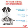 sol-hero-image-medium-start-dry-b1-cv2 Royal Canin Medium Starter - อาหารเม็ด สำหรับแม่สุนัขพันธุ์กลางช่วงตั้งท้องและลูกสุนัขหย่านมพันธุ์กลาง 1kg (442705)